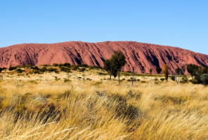 突發(fā)！26fall英國大學即將暫停審核！門檻大跌之后，錄取速度狂飆！