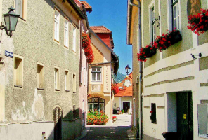 英国最爱的明显不是985！+668枚，王爱曼华布最新录取战绩来了～