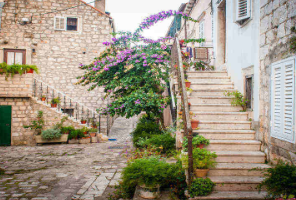 2026升學(xué)徹底變天：神仙打架，留學(xué)生撿漏的時(shí)代來(lái)了！