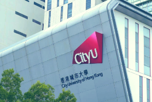 港城offer狂飙！三年内翻了不止一倍，普本占比强势增长，堪称最爱双非的港五院校