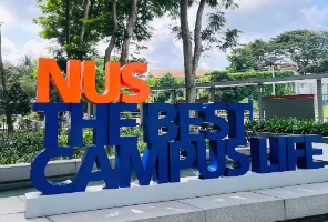 三年录取数据出炉！原来NUS始终偏爱这类申请者...