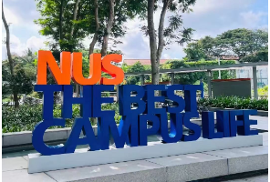 申请新国立，均分80+是门槛还是保底？