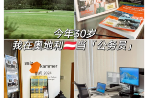 【就业趋势】留学生扎堆海外考公：捷径，还是新坑？