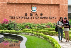 雅思不用卷，港新看硬实力