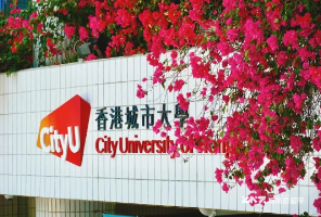 天塌了！港五留位费纷纷突破20万大关！申请者的钱包，这下真要扛不住了......